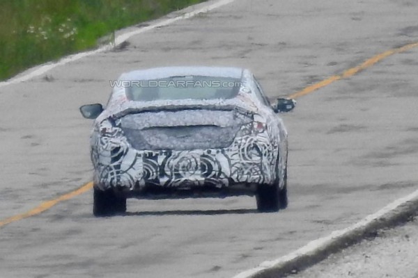 13651465631339322268 13651465631339322268